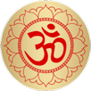 Chalisa Aarti - हिंदी/English APK