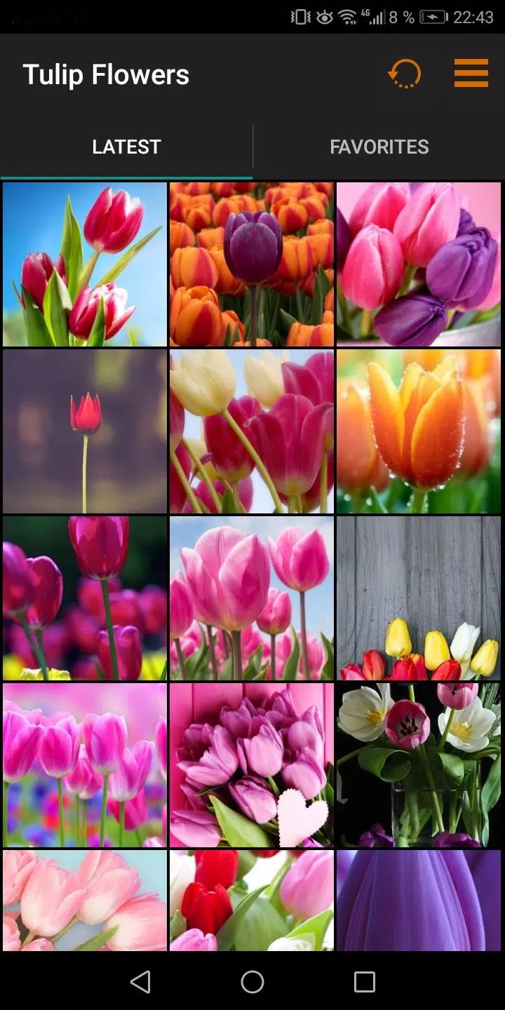 Descarga de APK de Tulipanes flores fondos de pantalla para Android