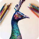 APK New Drawing Ideas