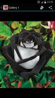 Flowers - Wallpaper Gallery penulis hantaran