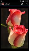 Flowers - Wallpaper Gallery syot layar 1