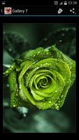 Flowers - Wallpaper Gallery syot layar 3