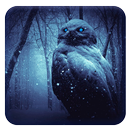 Необъяснимые факты APK