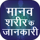 मानव शरीर के बारे में Amazing  Zeichen