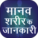मानव शरीर के बारे में Amazing  Zeichen