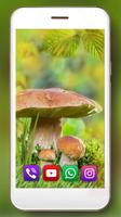 برنامه‌نما Mushrooms Summer عکس از صفحه