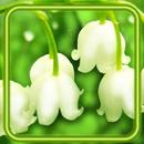 May Forest Lilies APK