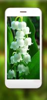 May Forest Lilies स्क्रीनशॉट 1