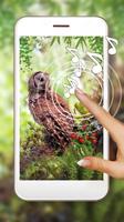 Owls Live Wallpaper 포스터