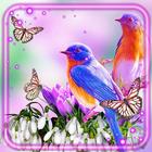 Birdies Spring ikona
