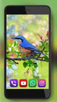 Birdies Spring screenshot 1