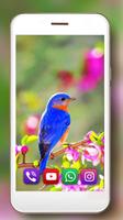 Birdies Spring screenshot 2