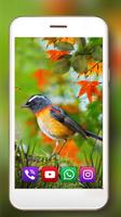 Birdies Spring screenshot 3
