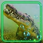 Crocodile Tropical Zeichen