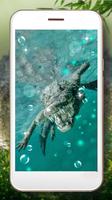 Crocodile Tropical Plakat