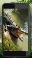 Crocodile Tropical Screenshot 1
