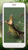 Crocodile Tropical Screenshot 2
