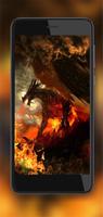 Dragons Collection 포스터