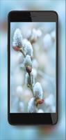 Early Spring Day スクリーンショット 1