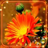 Flowers of Autumn 圖標