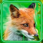 Fox HD Wallpaper simgesi