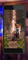 Fox HD Wallpaper gönderen