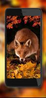 Fox HD Wallpaper Ekran Görüntüsü 2