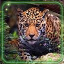 Jaguars Live Wallpaper APK