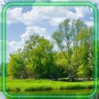 Landscapes Nature icon