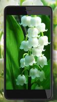 Lilies Valley Flowers screenshot 2