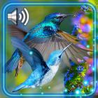 Love Birds Colibri 아이콘