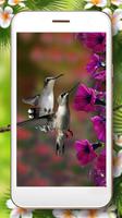 Love Colibri Birds screenshot 1