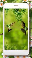 Love Colibri Birds screenshot 3