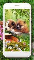 Love Puppies screenshot 2