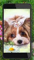 Love Puppies screenshot 3