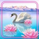 Swans Dreams simgesi