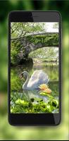 Swans Melody screenshot 2