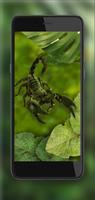 Scorpions Jungles HD screenshot 3