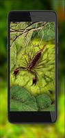Scorpions Jungles HD screenshot 1
