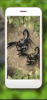 Scorpions Jungles HD screenshot 2