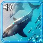 Sharks Live Wallpaper icon