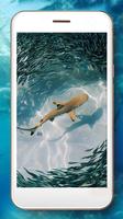 Sharks Live Wallpaper screenshot 1