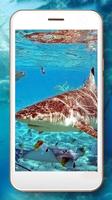 Sharks Live Wallpaper screenshot 3