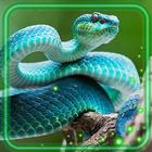 Snakes Jungles HD icon