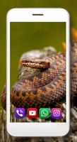 Snakes Jungles HD screenshot 3