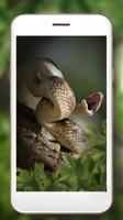 Snakes Jungles HD screenshot 2