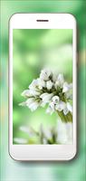 Snowdrops Wallpaper 스크린샷 3