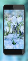 Snowdrops Wallpaper 포스터