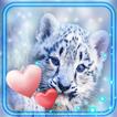 Snow Leopard Love