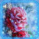 Snow Roses Live Wallpaper APK